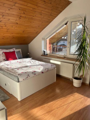 Podkrovní apartmán s balkónem